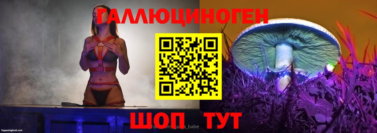 Реж  Псилоцибиновые грибы Psilocybine cubensis  Вход с VPN 
